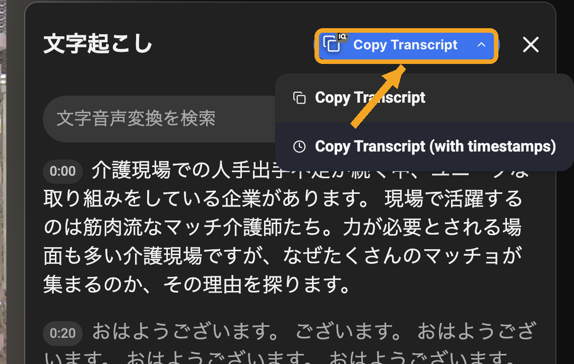 YouTubeの文字起こしパネルに追加されるvidIQの「Copy Transcript」ボタン。押すとタイムスタンプなし／ありを選んでコピーできる
